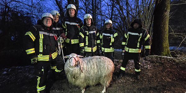 Feuerwehr Breckerfeld TH Tierrettung 2025 01 082 s