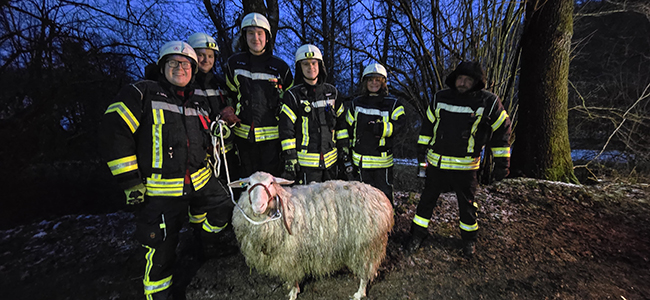 Feuerwehr Breckerfeld – Schaf steckt in Tümpel fest