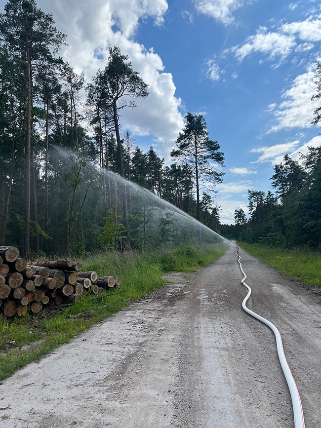 Waldbrandprävention: Im Brandfall zeitnah und pragmatisch reagieren