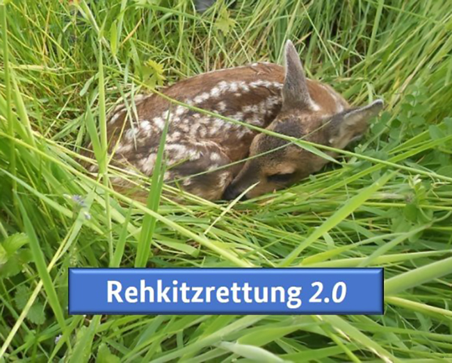 rehkitzrettung 2.0